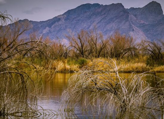 nevada/ash-meadows-national-wildlife-refuge/attraction/longstreet-spring-and-cabin