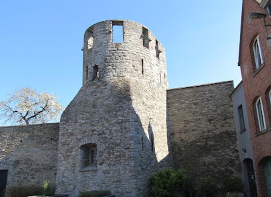 belgium/tournai/attraction/tour-du-cygne