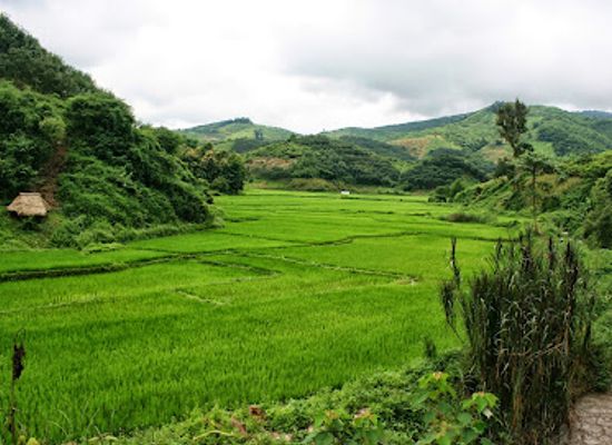 laos/muang-sing/attraction/water-fall-nam-dee