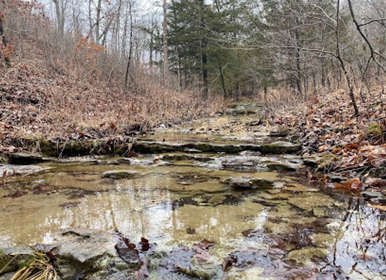 missouri/big-sugar-creek-state-park/attraction/chinquapin-trail