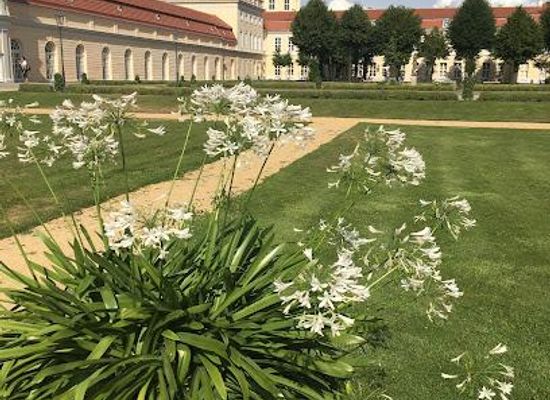 germany/berlin/attraction/orangerie-charlottenburg-spaces-mgt-gmbh