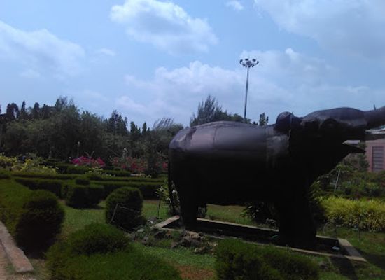 india/coimbatore/attraction/nehru-ladies-park
