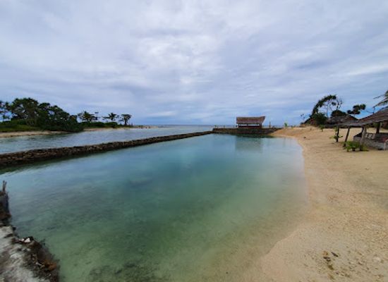 vanuatu/shefa-province/attraction/turtle-sanctuary