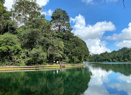 singapore/macritchie-reservoir/attraction/end-of-lornie-trail