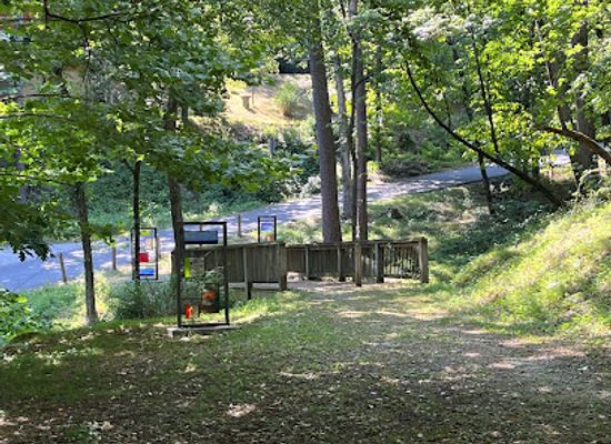 arkansas/eureka-springs/attraction/harmon-park