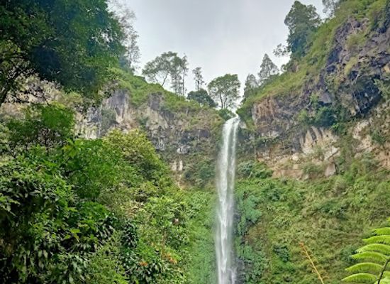 indonesia/east-java/attraction/taman-labirin-coban-rondo
