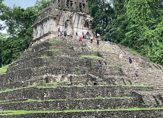 mexico/chiapas/attraction/chiapas-palenque