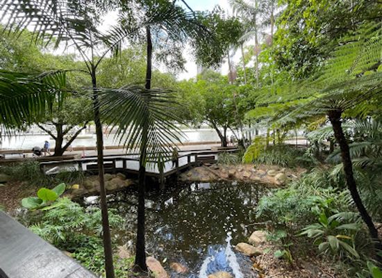 australia/brisbane/south-bank/attraction/rainforest-walk