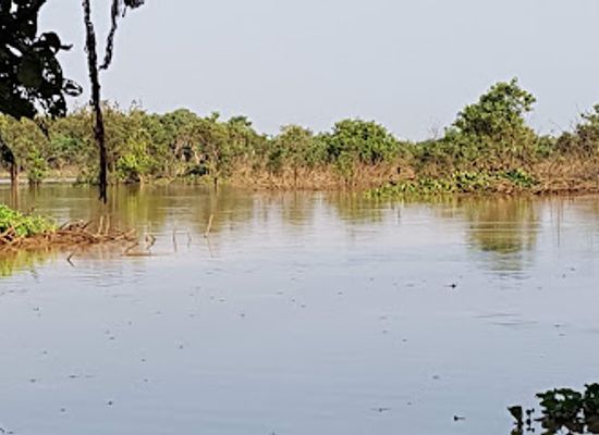 cambodia/siem-reap-province/attraction/pearaing-biodiversity-conservation-center