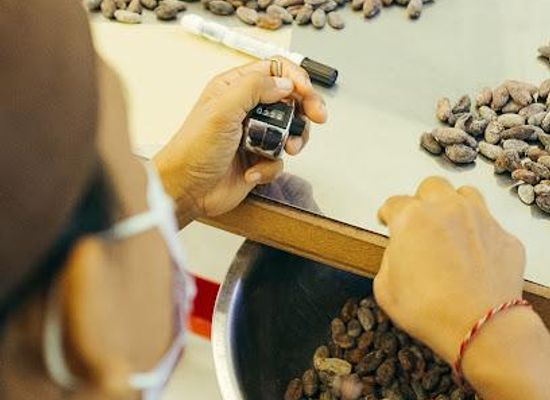 indonesia/bali/attraction/primo-chocolab-bali-appointment-only