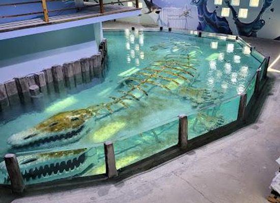 texas/houston/attraction/houston-interactive-aquarium-animal-preserve