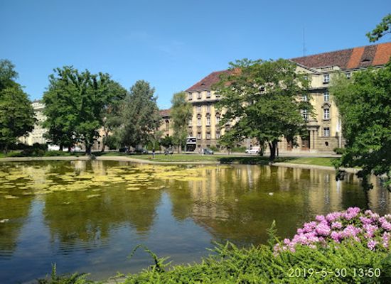 poland/greater-poland/attraction/park-im-karola-marcinkowskiego