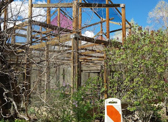 new-mexico/albuquerque/attraction/bugarium