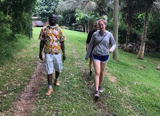 ghana/sefwi/attraction/international-stingless-bee-centre
