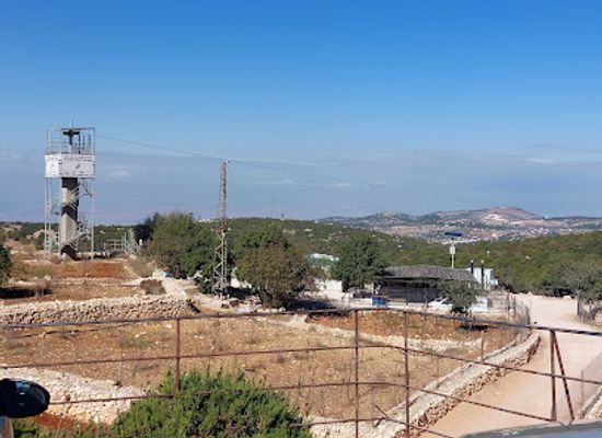 jordan/ajloun-highlands/attraction/ajloun-forest-reserve-zipline