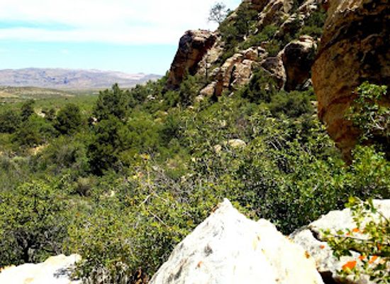 nevada/clark-county/attraction/lost-creek-canyon