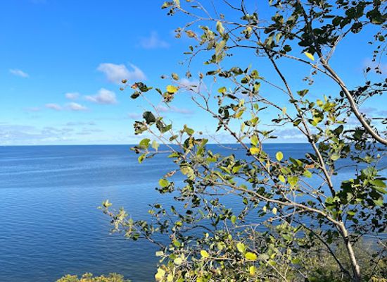 estonia/ida-viru-county/attraction/saka-vaatlusplatform