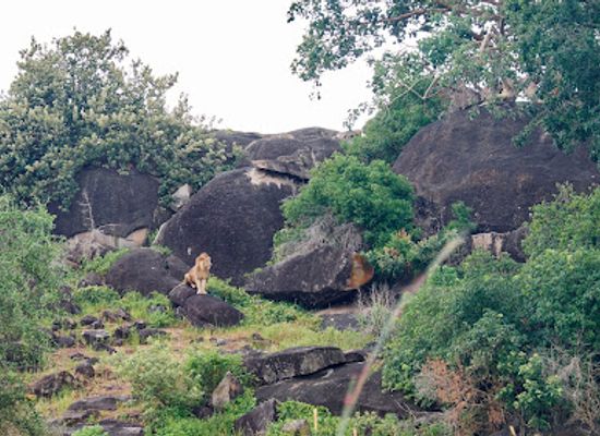 uganda/elgon/attraction/kidepo-national-park-uganda