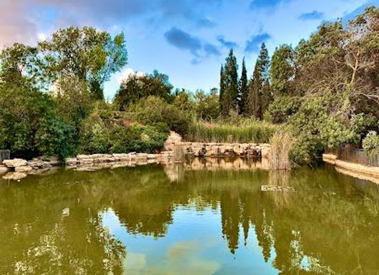 israel/judea/attraction/wohl-rose-garden