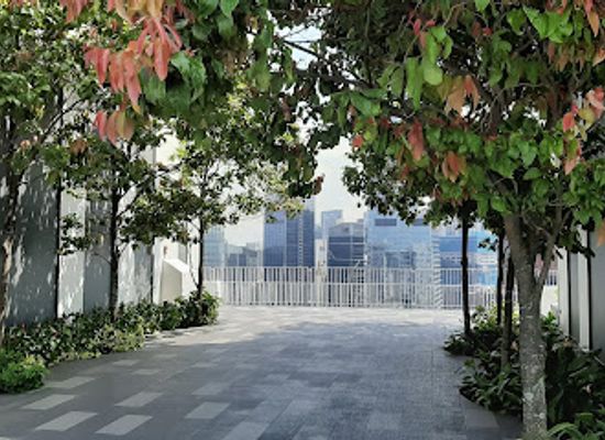 singapore/chinatown/tanjong-pagar/attraction/the-pinnacle-sky-garden-50th-storey-skybridge