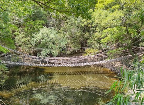 japan/sanuki/attraction/kazurabashi-kazura-bridge
