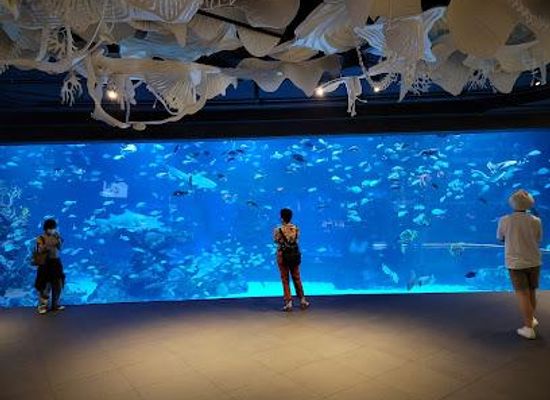 thailand/phuket/attraction/aquaria-phuket