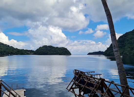 indonesia/maluku-islands/attraction/dive-bluemotion