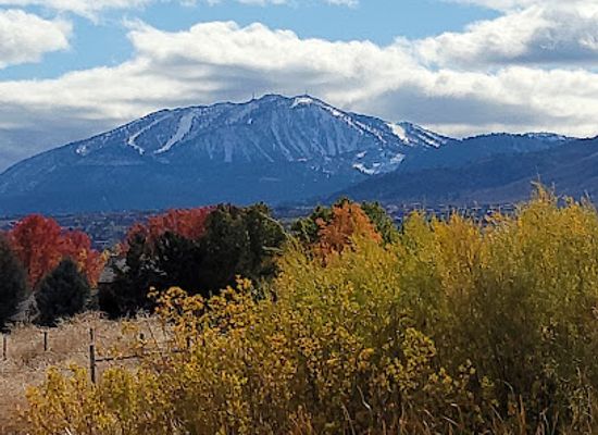 nevada/reno/attraction/anderson-regional-park