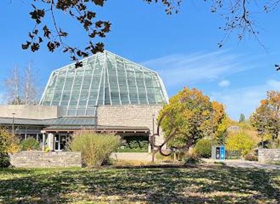 new-york/buffalo/attraction/butterfly-conservatory
