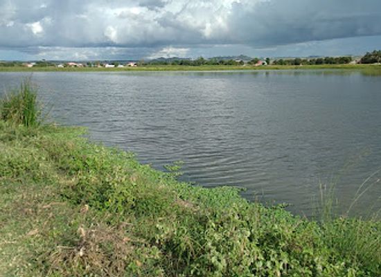 tanzania/dodoma/attraction/swaswa-swamps