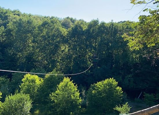 romania/maramures/attraction/tiroliana-lui-pintea