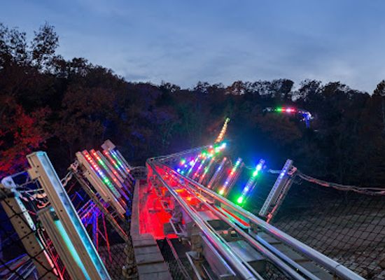 arkansas/ozark-mountains/attraction/runaway-mountain-coaster-flyaway-ziplines-at-branson-mountain-adventure