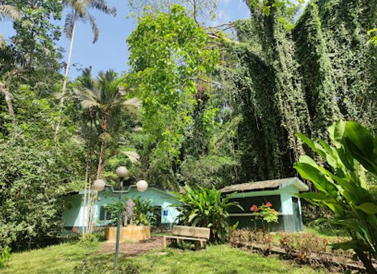 cote-d-ivoire/abidjan/attraction/maison-de-la-nature