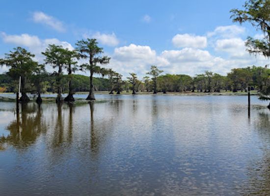 louisiana/caddo-lake/attraction/mystique-tours-on-caddo-lake