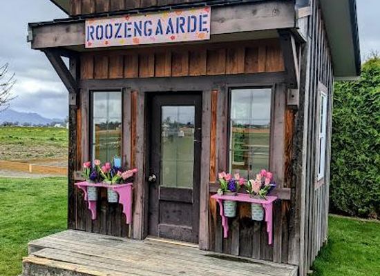 washington/whidbey-island/attraction/roozengaarde
