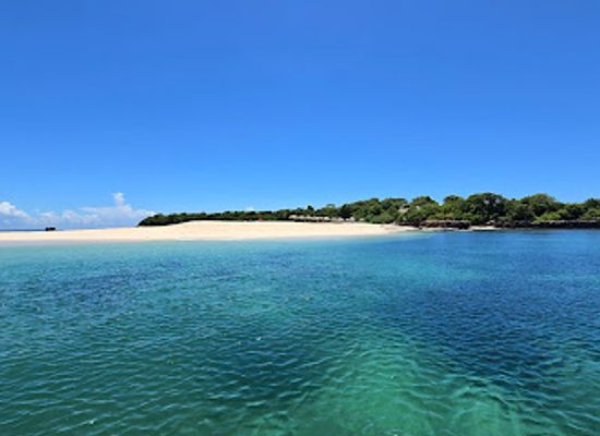 tanzania/western-zone/attraction/bongoyo-island