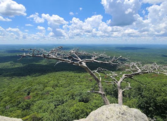 alabama/cheaha-state-park/attraction/pulpit-rock-cheaha-mountain