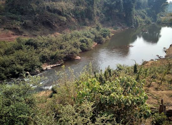 laos/champasak-cultural-landscape/attraction/dong-hua-sao-national-protected-area