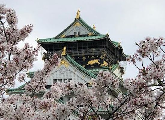 japan/kawachi/attraction/osaka-castle-park