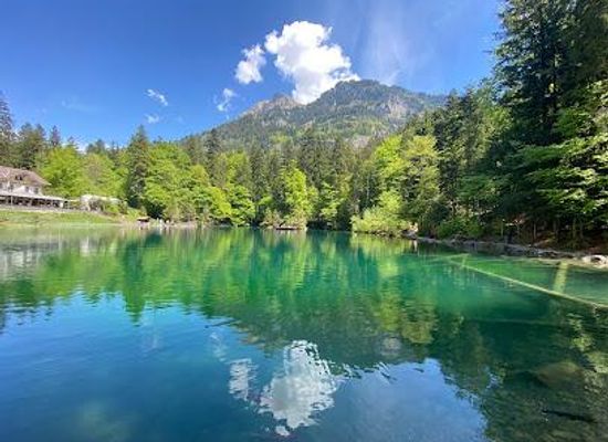 switzerland/interlaken/attraction/naturpark-blausee