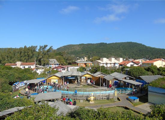 brazil/florianopolis/jurere-internacional/attraction/fundacao-projeto-tamar-florianopolis