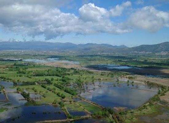 spain/girona/attraction/aiguamolls-de-l-emporda