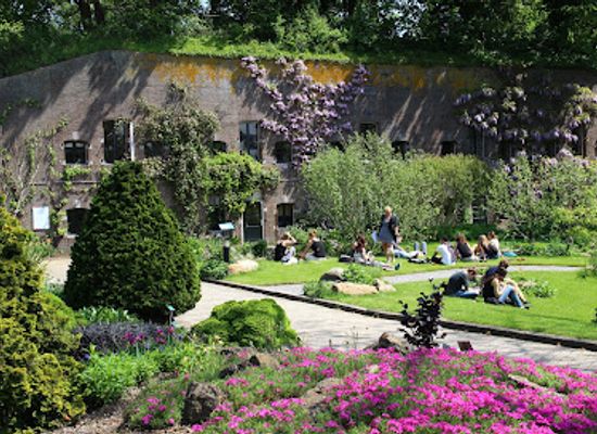 netherlands/utrechtse-heuvelrug/attraction/utrecht-botanic-gardens