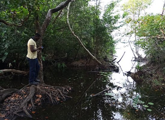 liberia/grand-cape-mount-county/attraction/mama-s-lake