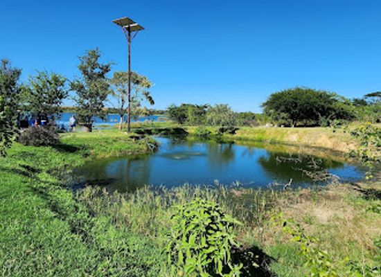 zimbabwe/chinhoyi/attraction/evergreen