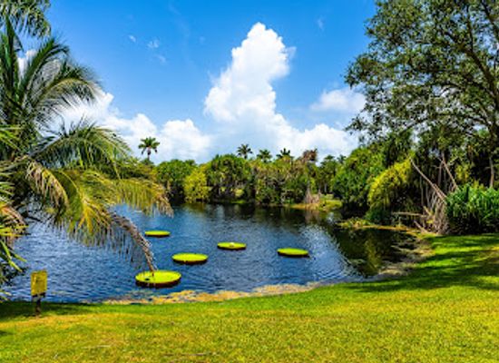 florida/everglades-national-park/attraction/fairchild-tropical-botanic-garden