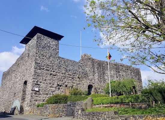 germany/westerwald/attraction/ellar-castle