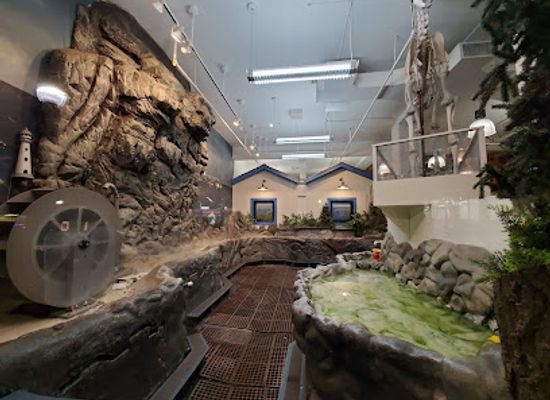 maine/bangor/attraction/maine-discovery-museum