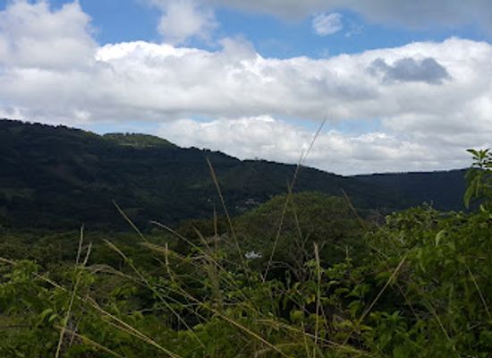 nicaragua/esteli-plateau/attraction/petroglifos-de-la-cueva-del-matasano