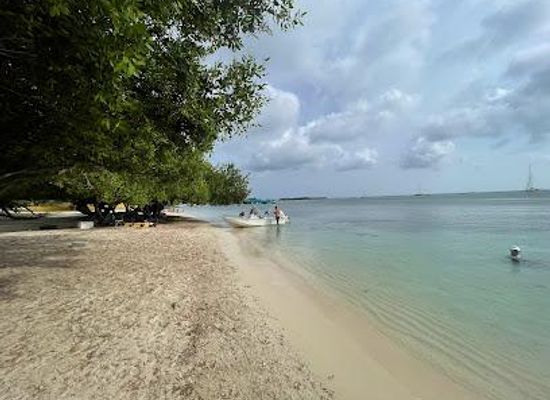 aruba/tanki-leendert/attraction/surfside-beach